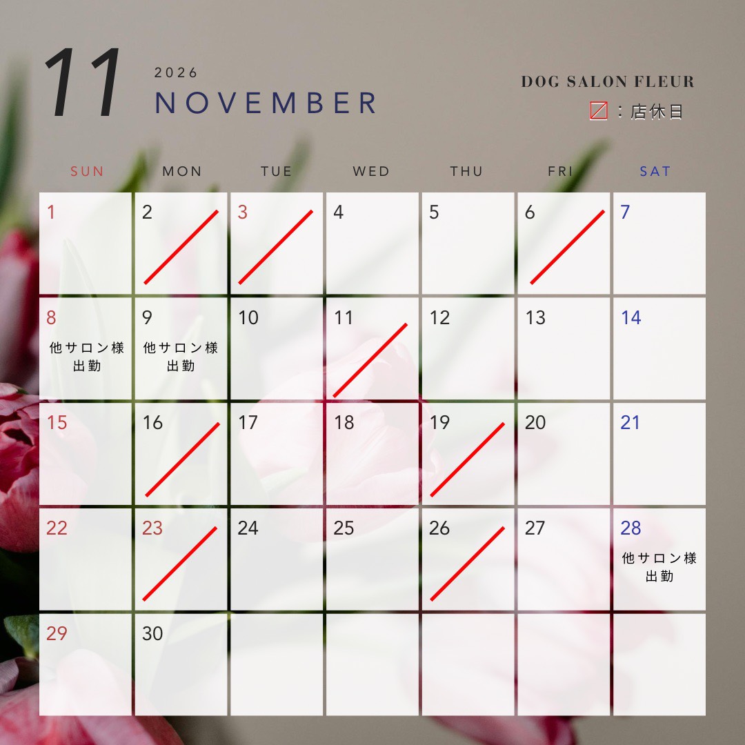 11月のカレンダー