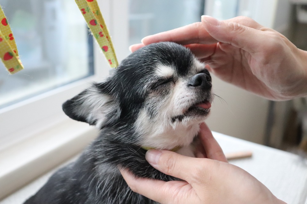 1頭1頭への向き合い方