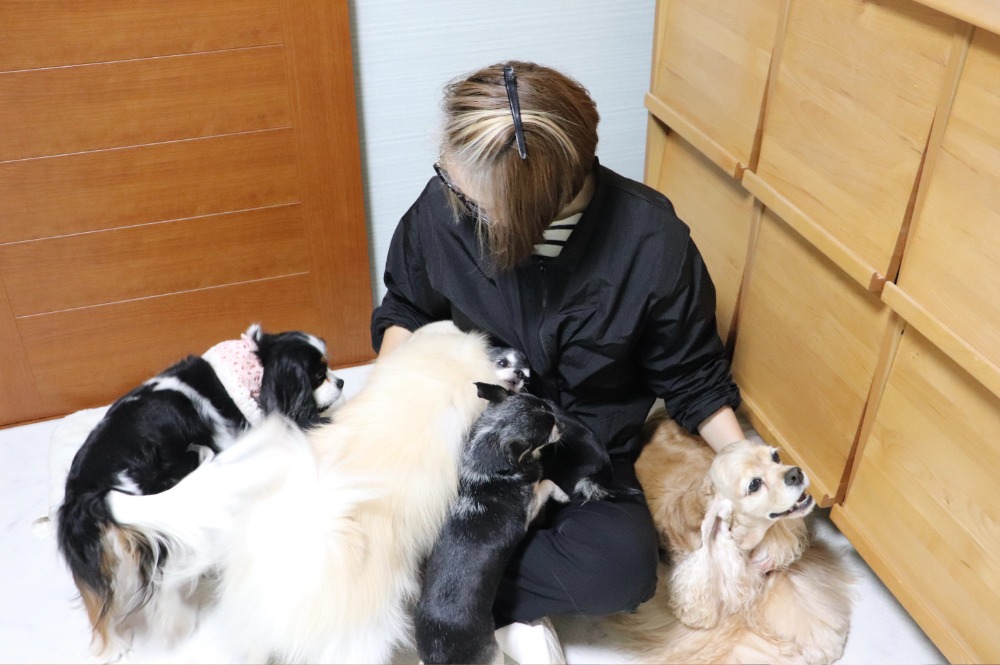 ケージフリーの環境