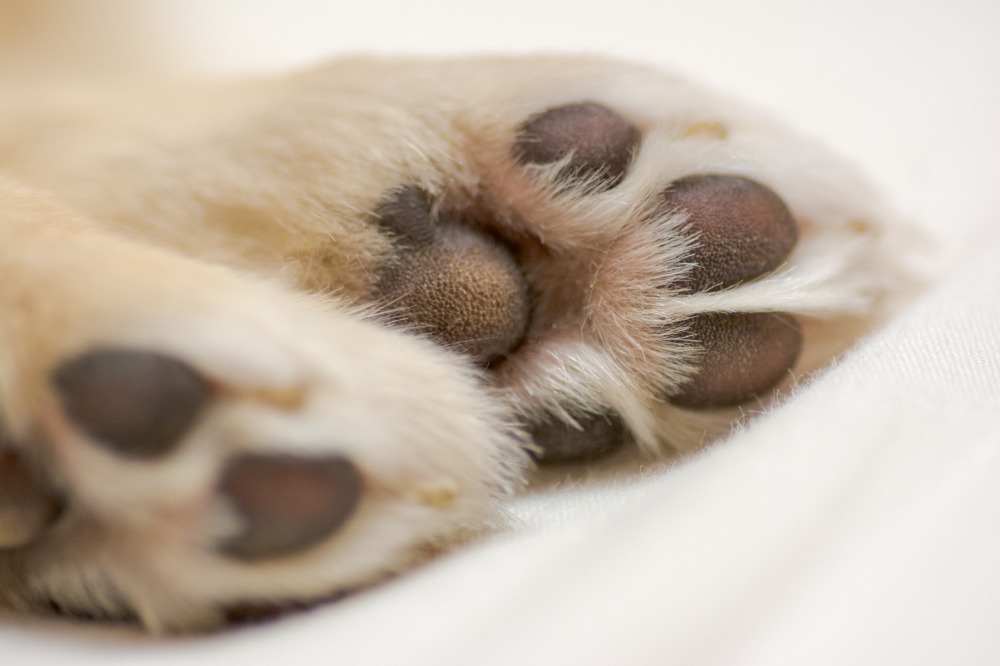 至福のアフターケア