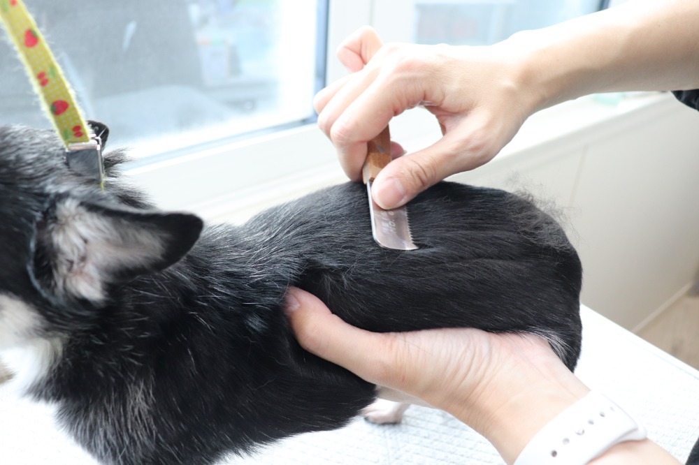 定期的なケアで、毎日をもっと健やかに、もっとお得に。